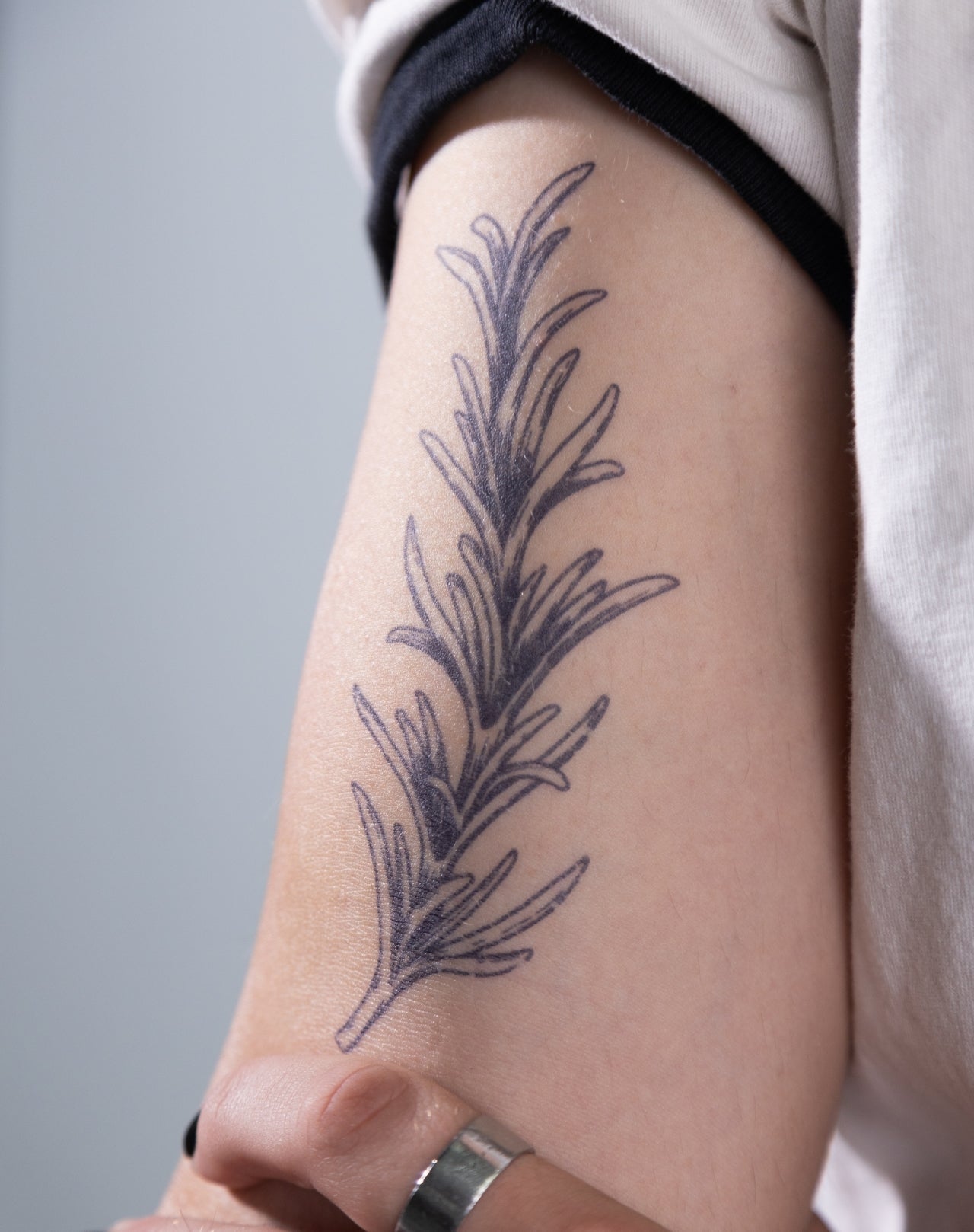 Rosemary