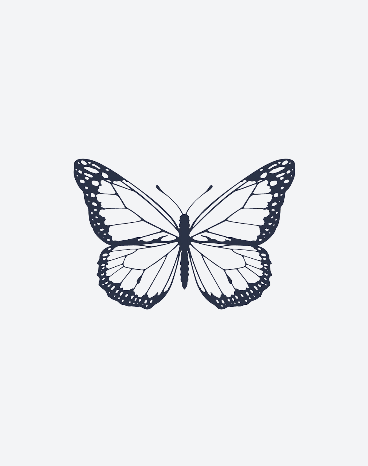 Butterfly Pack