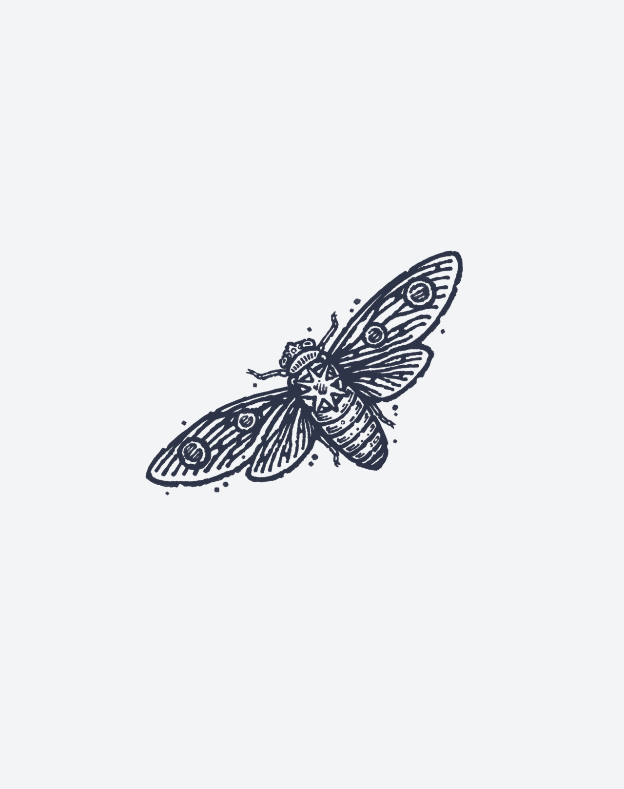 Wings of Decay