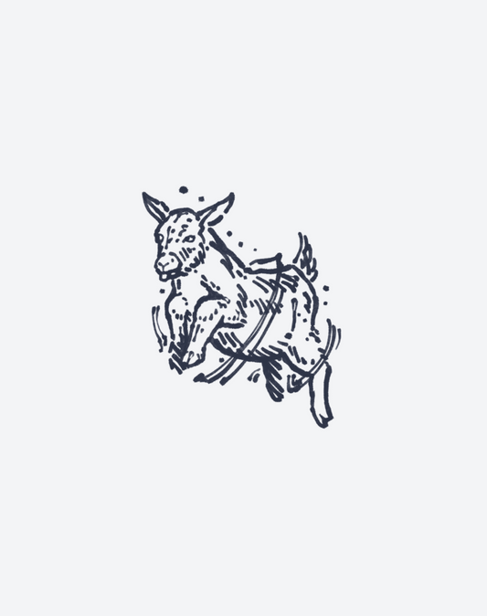 Aether Hooves