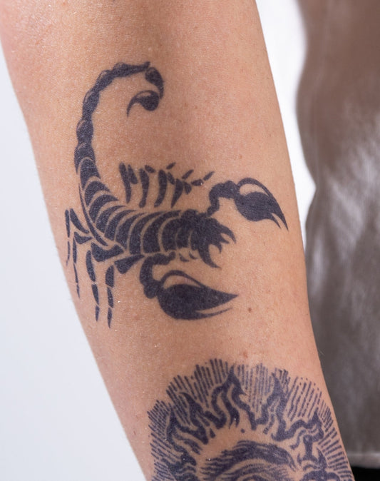 Bold Scorpion