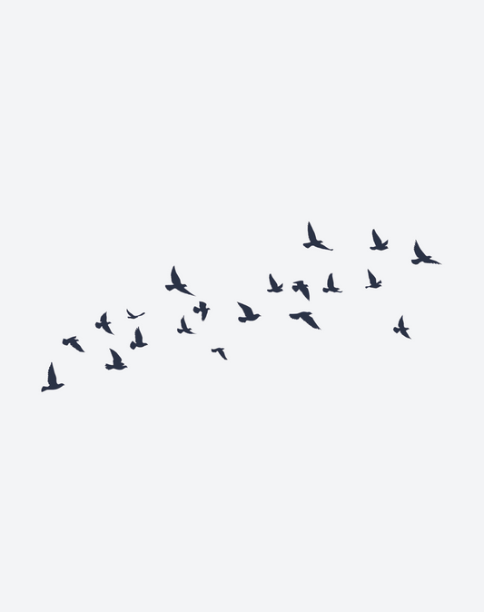 Fluttering Flock