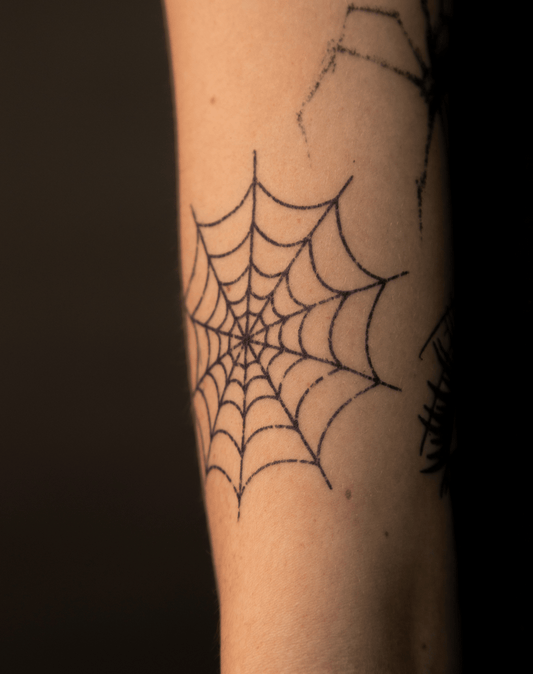 Sparse Web